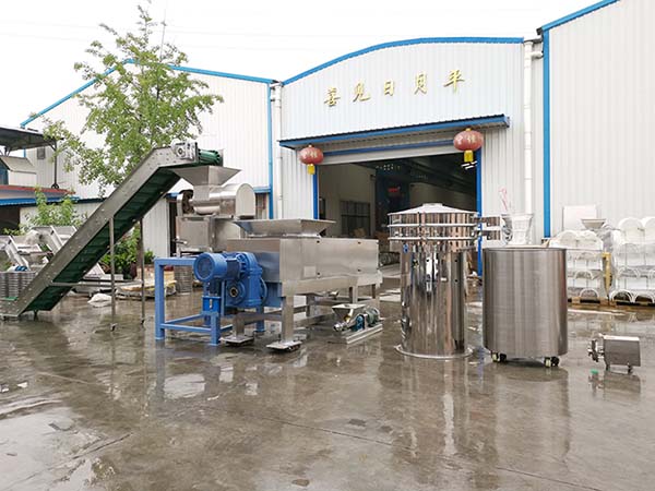 10-ton Ginger Juice Production Line