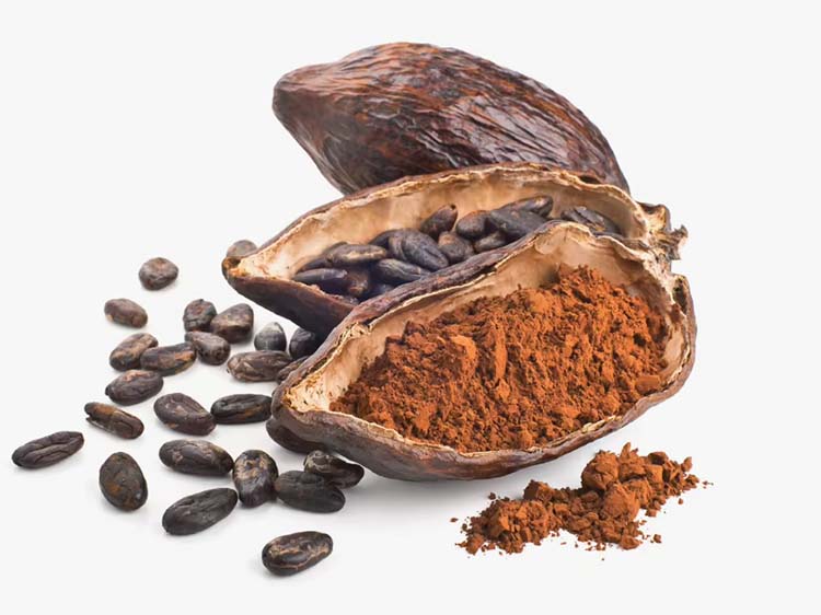 Cocoa Bean Powder