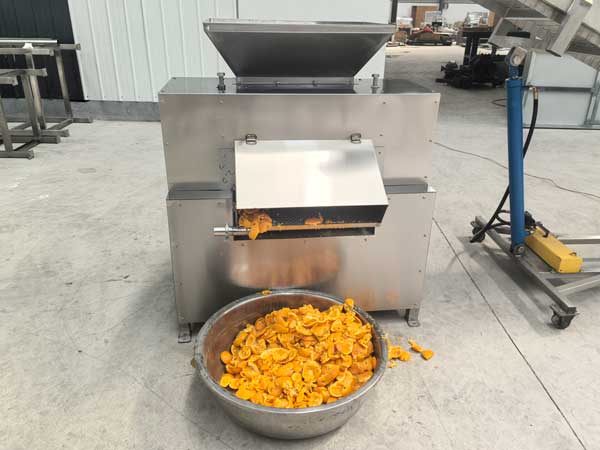 Industrial Orange Juicer