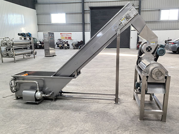 Pineapple Juicer with Washing Machine