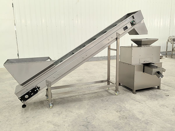 Dual-roller Juicer Machine