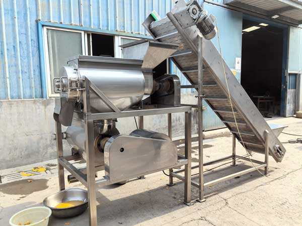 Mango Pulping Machine