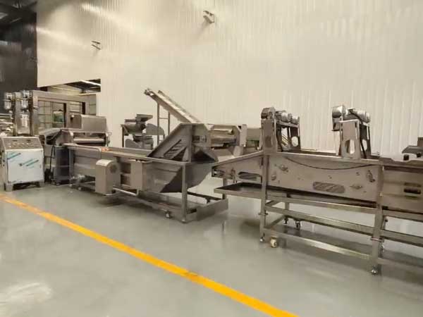 Mango Pulp Processing Line