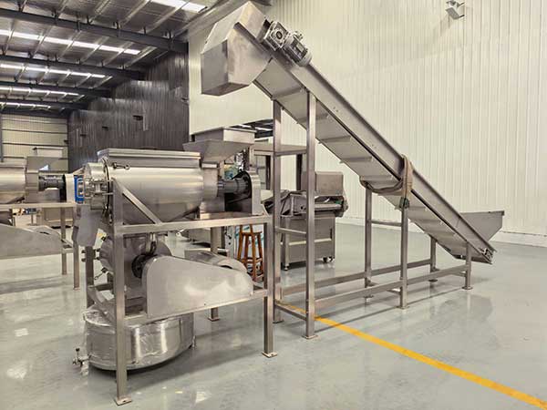 Mango Pulper Machine