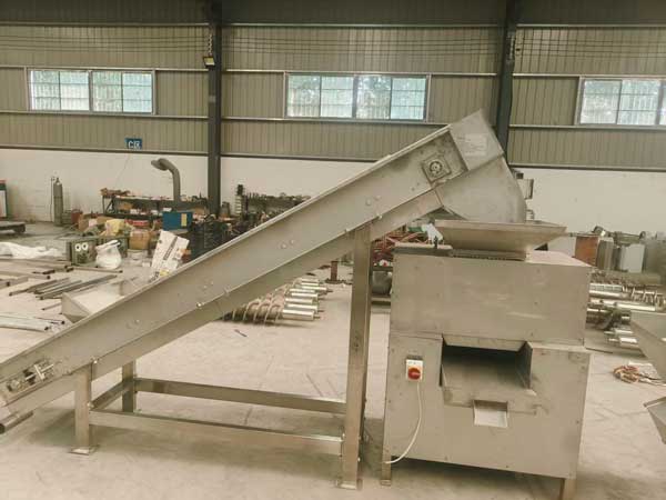 Orange Juicer and Conveyor Belt