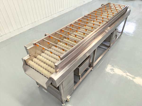 Brush Washing Machine
